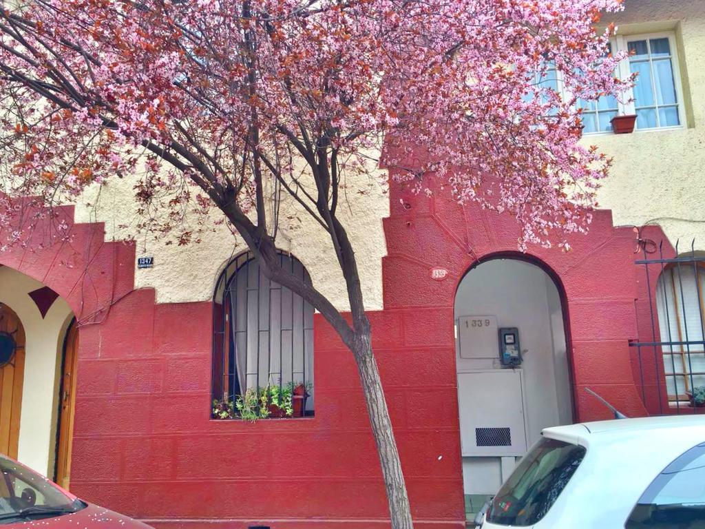Tralkan B&B Santiago de Chile Exterior foto